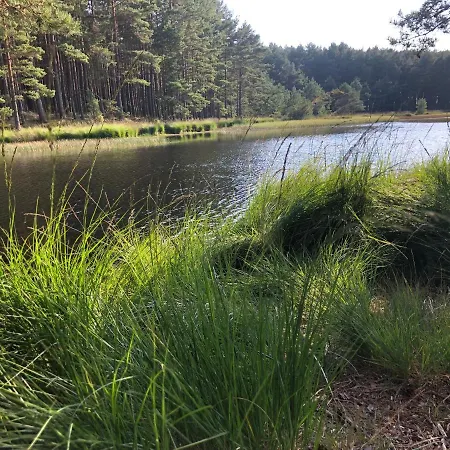 Hébergement de vacances Mlynska - Drewniany, Caloroczny Dom W Sosnowym Lesie *