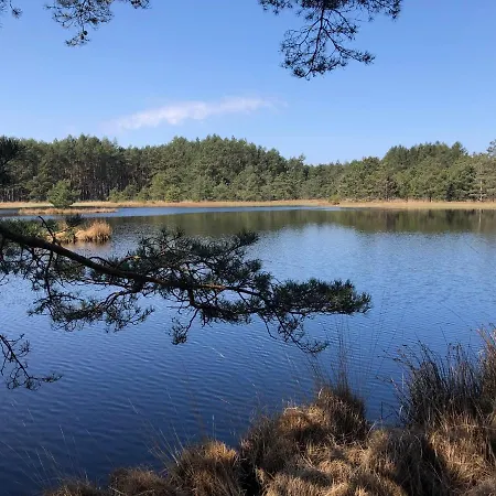 Mlynska - Drewniany, Caloroczny Dom W Sosnowym Lesie Czarny Mlyn