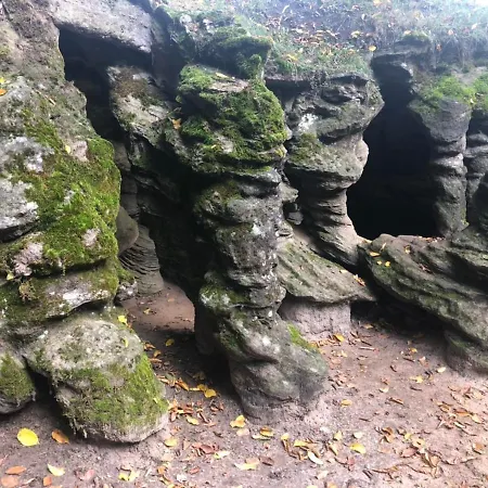 Casa de Férias Mlynska - Drewniany, Caloroczny Dom W Sosnowym Lesie *