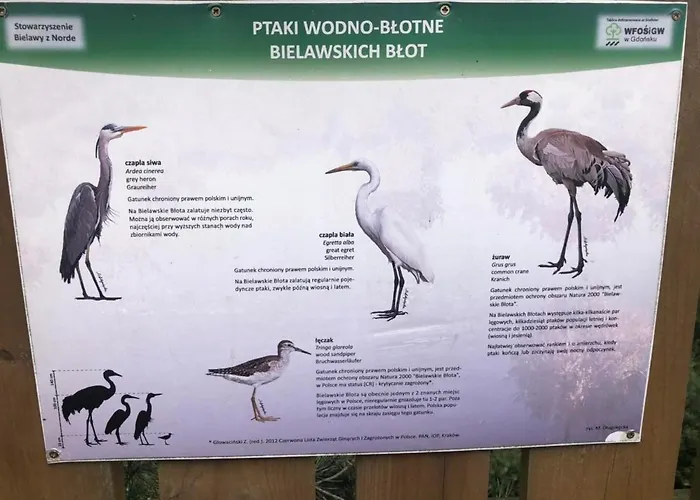 Mlynska - Drewniany, Caloroczny Dom W Sosnowym Lesie