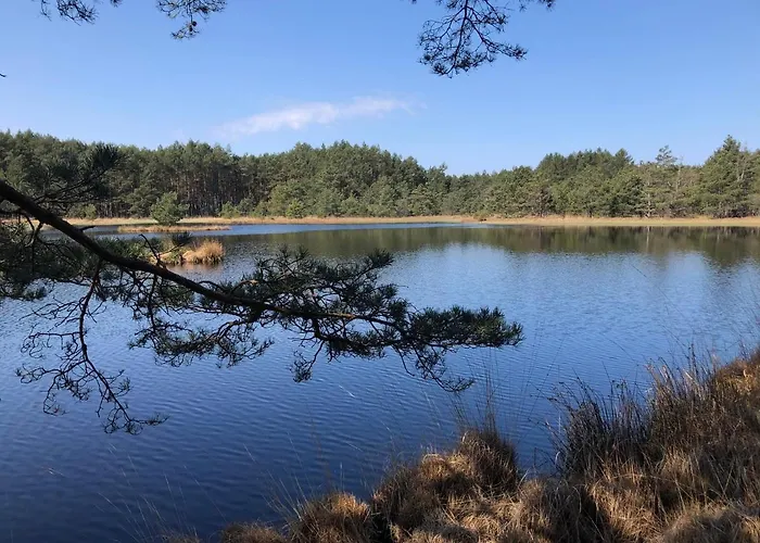 Mlynska - Drewniany, Caloroczny Dom W Sosnowym Lesie Czarny Mlyn